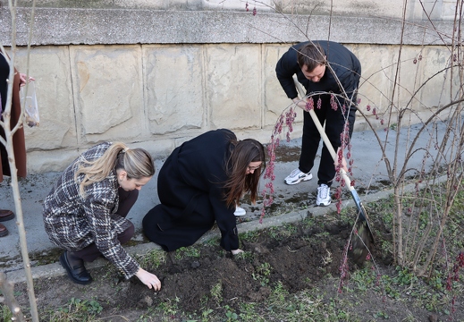 Nu toate florile cresc la fel | Facultatea Psihologie, Ştiinţe ale Educaţiei, Sociologie și Asistență Socială